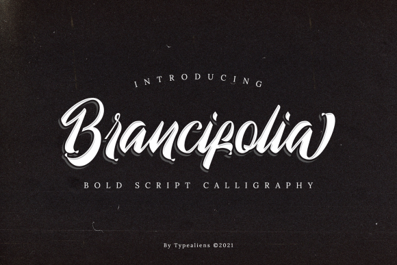 Brancifolia: A Bold Script Font for Creative Product Design