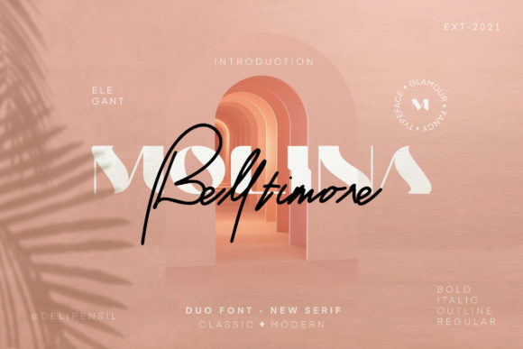 Elevate Your Brand with Molina: A Unique Duo Font
