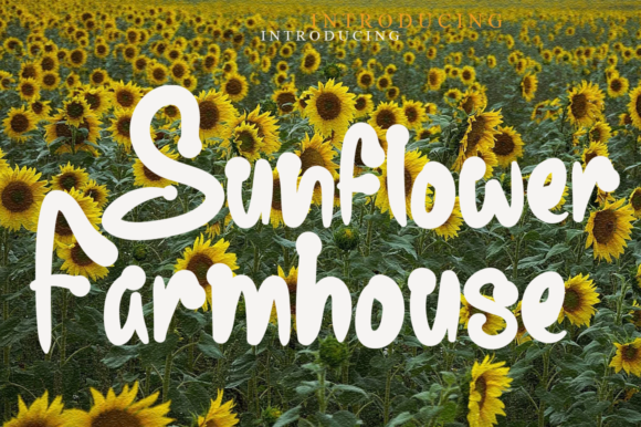 Enhance Your Craft with Sunflower Farmhouse Font