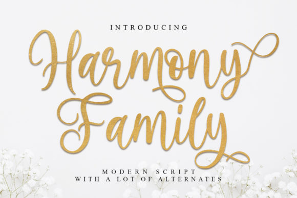 Transform Your Brand with Harmony Family Font